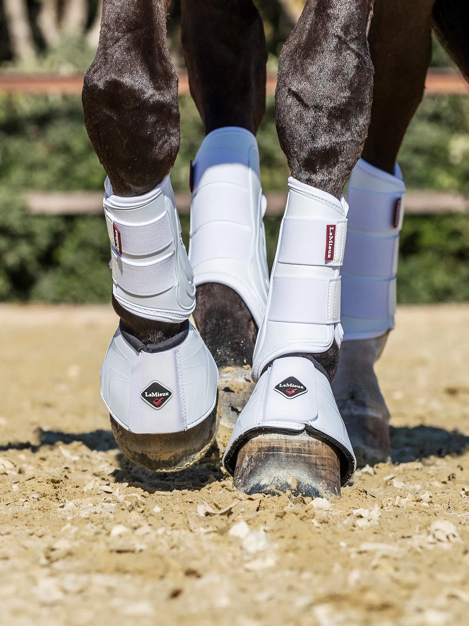 Cloches LeMieux ProShell pour cheval
