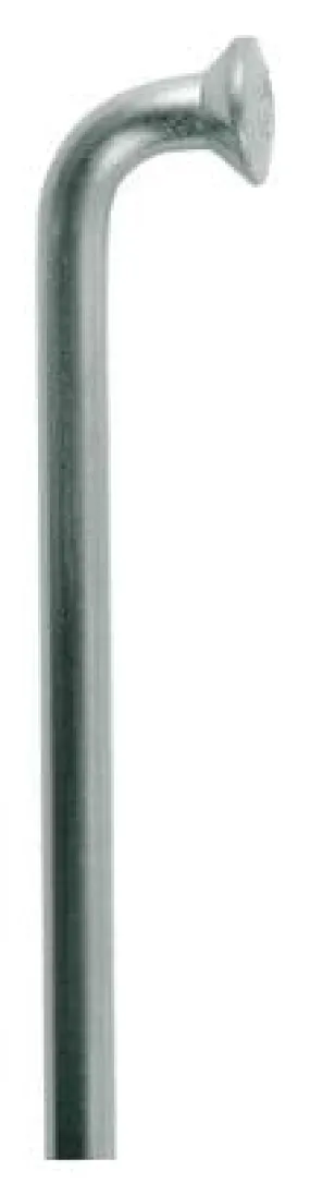 Rayon coudé DT Swiss champion m 2x294 mm inoxydable