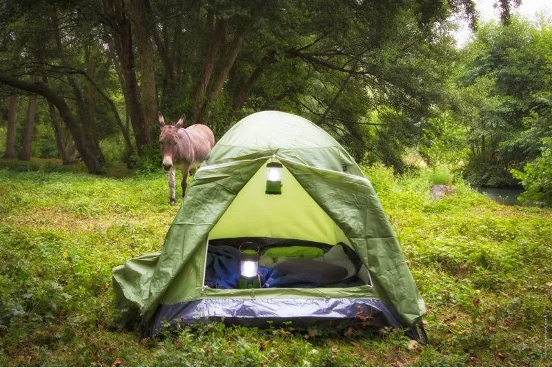 Tente dôme 2 personne